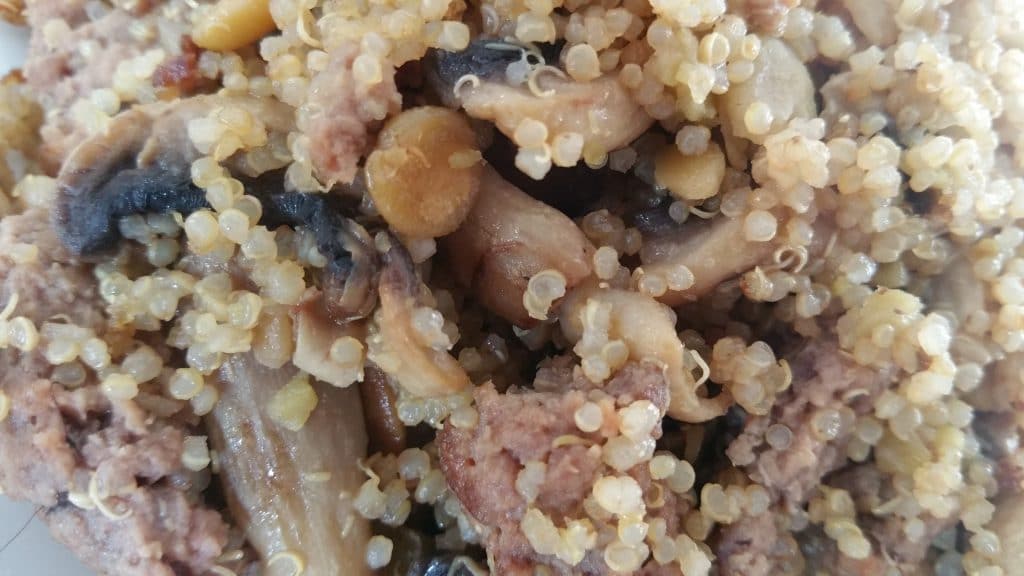 Quinoa steack et champignons